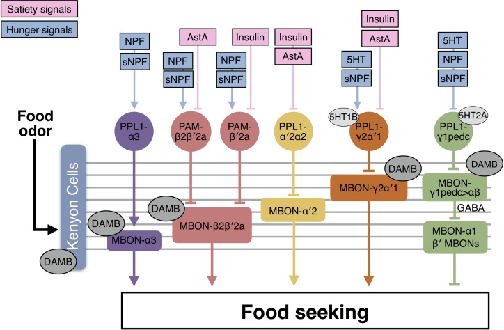 Figure 12.