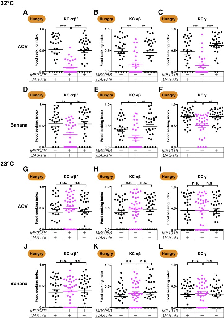 Figure 4—figure supplement 2.