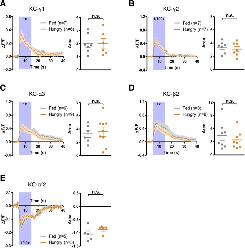 Figure 5—figure supplement 1.