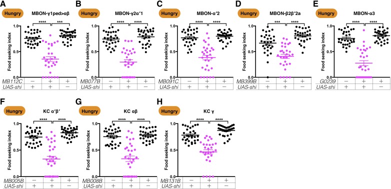 Figure 3—figure supplement 4.