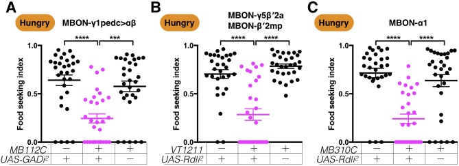 Figure 6—figure supplement 1.