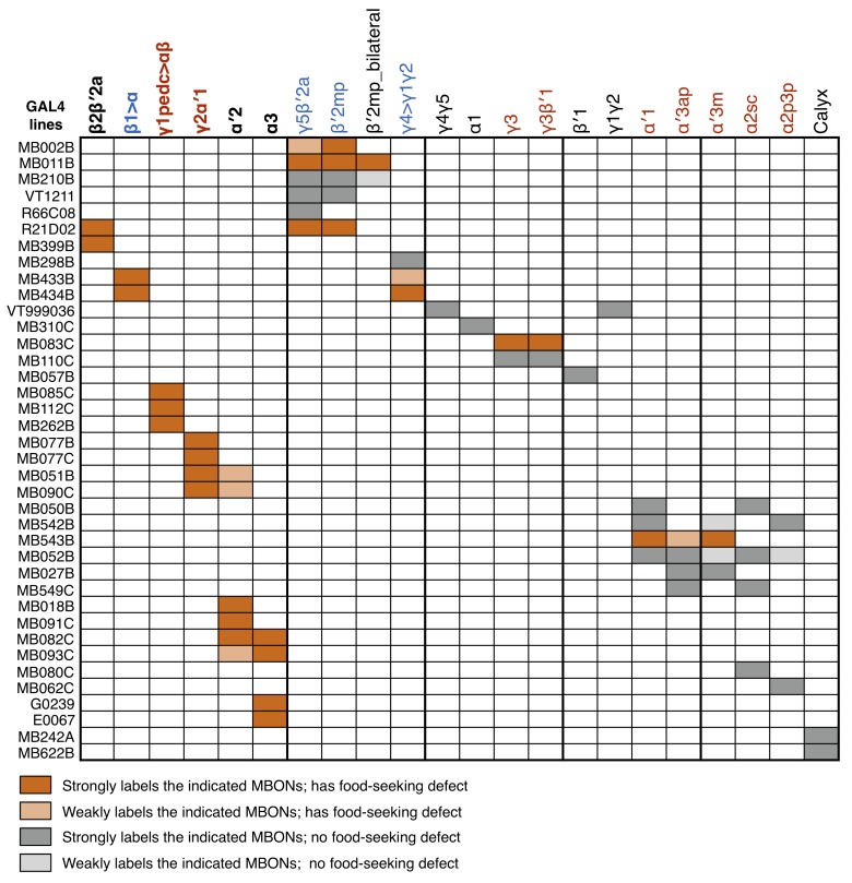 Figure 3—figure supplement 1.