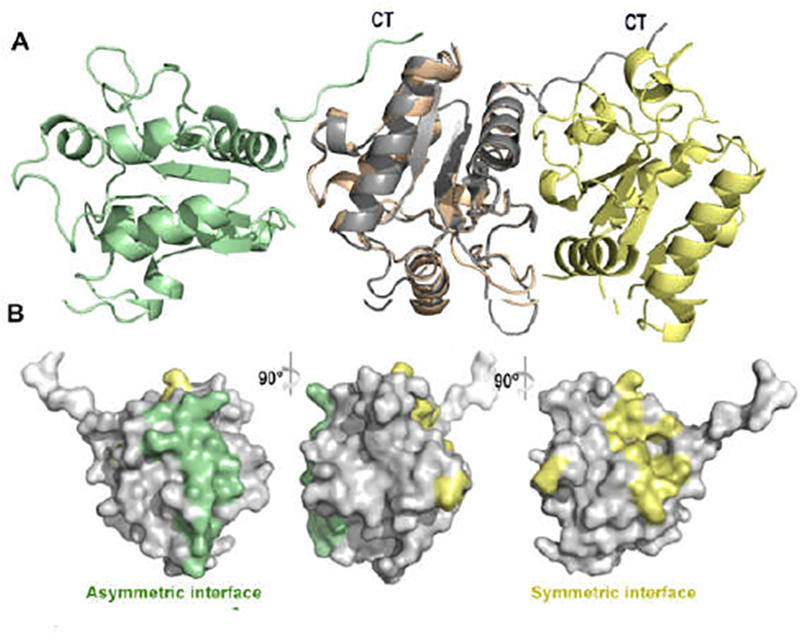 Figure 5.