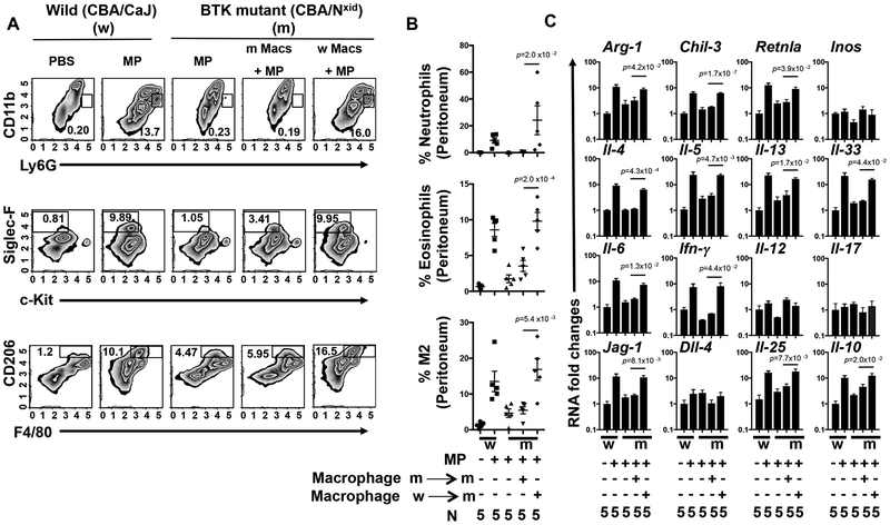 Fig 4: