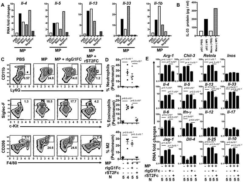 Fig 2: