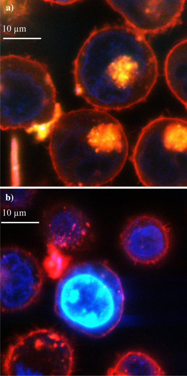 Fig. 2