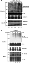 FIG. 2.