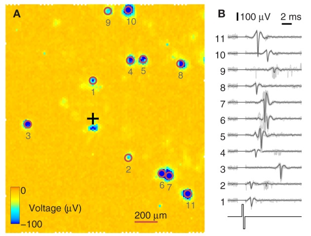 Figure 4