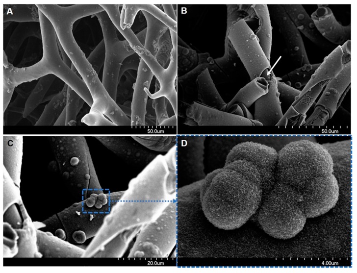 Figure 13