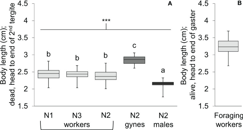 Figure 5