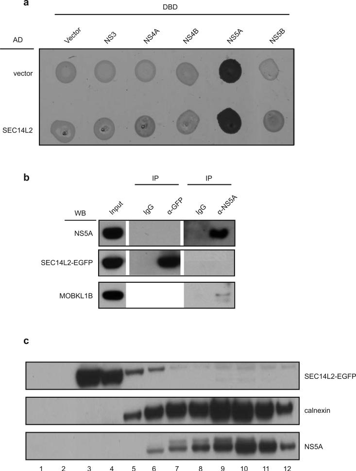 Extended Data Figure 6