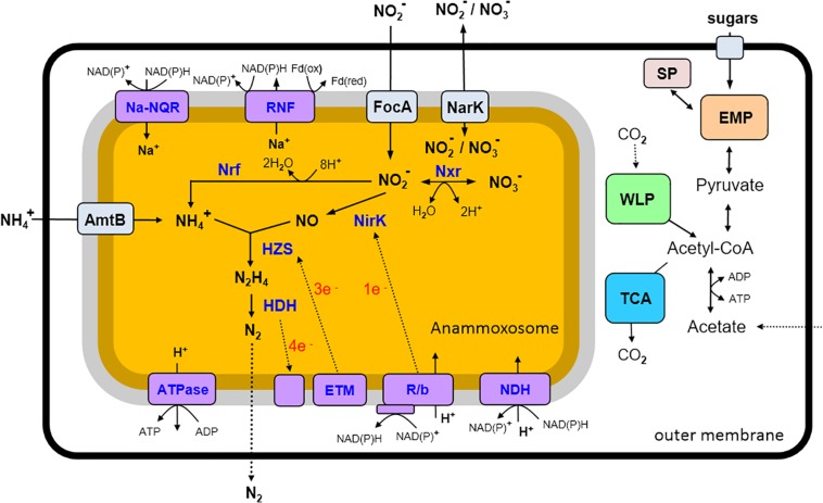 FIGURE 4