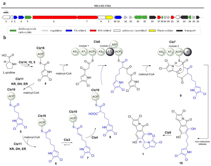 Figure 2