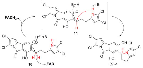 Scheme 1