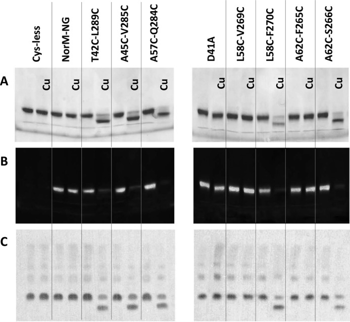 FIGURE 3.