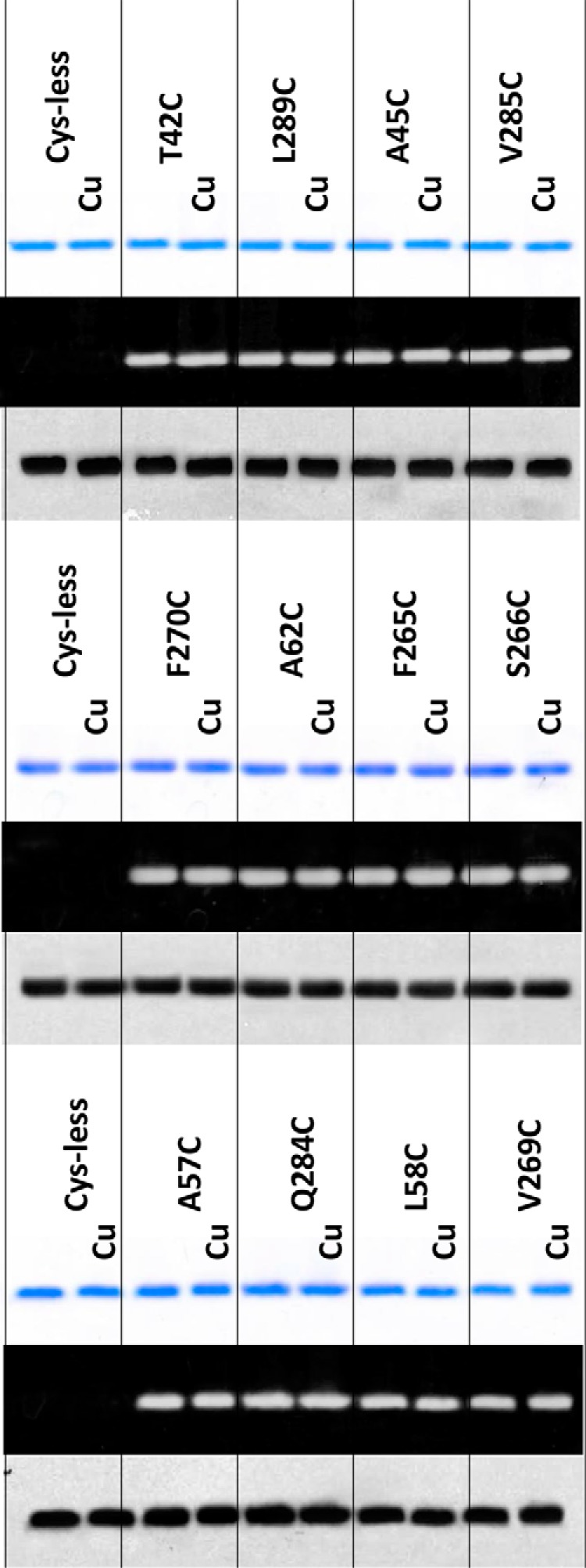 FIGURE 4.