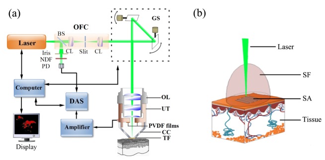 Fig. 1