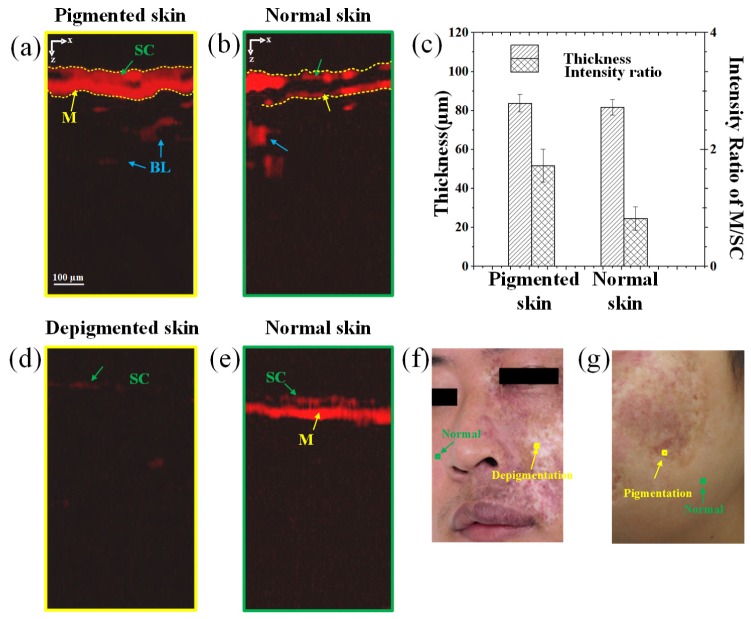 Fig. 4