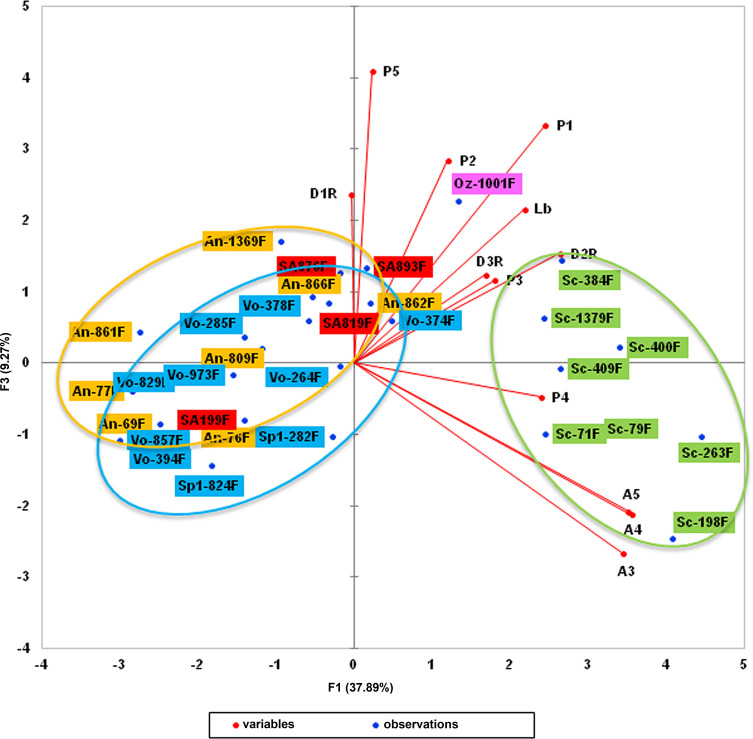 Figure 6