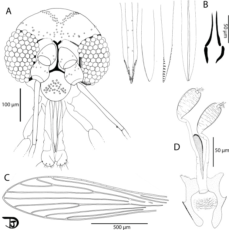 Figure 9