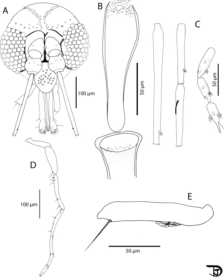 Figure 10