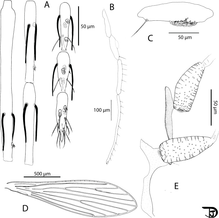 Figure 13