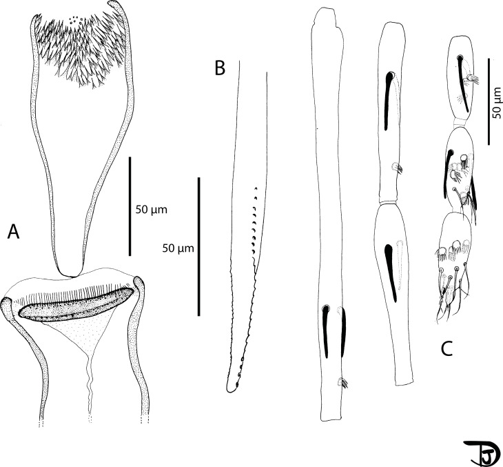 Figure 14