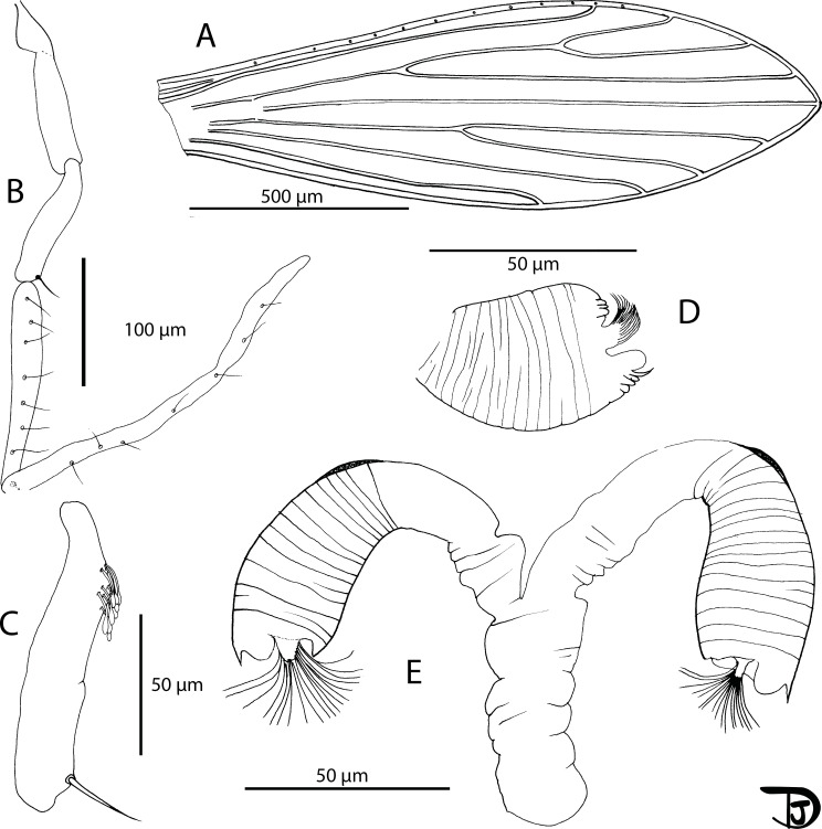 Figure 15