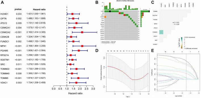 FIGURE 3