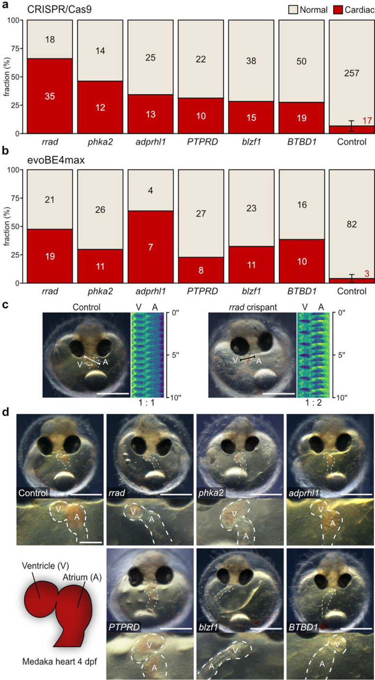 Fig. 3: