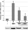 FIG. 3.