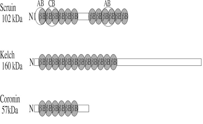 Figure 2.