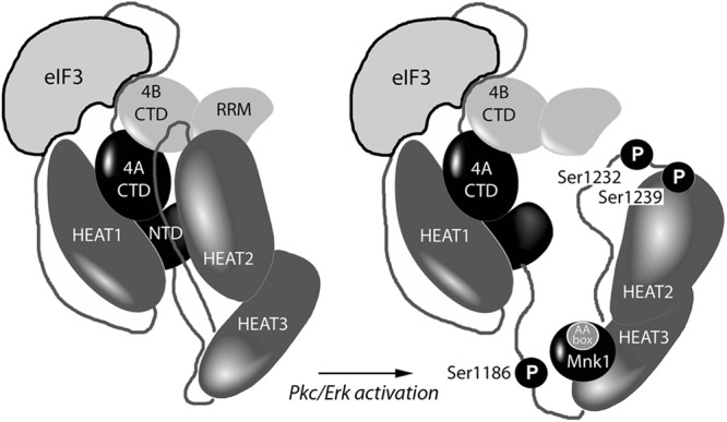 Fig 8