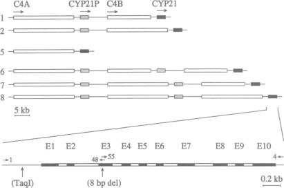 graphic file with name pnas01089-0580-a.jpg