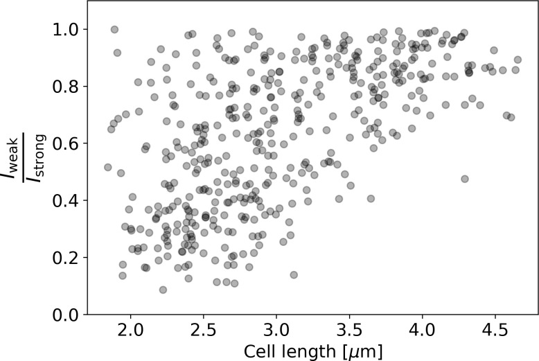 Appendix 2—figure 11.