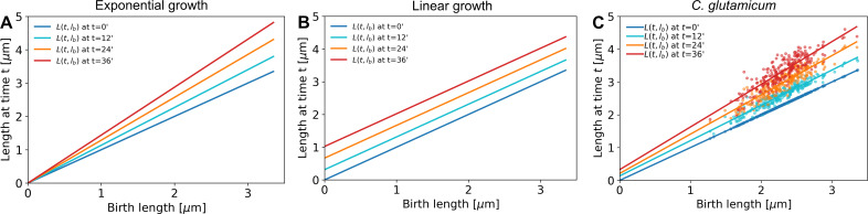 Appendix 2—figure 6.