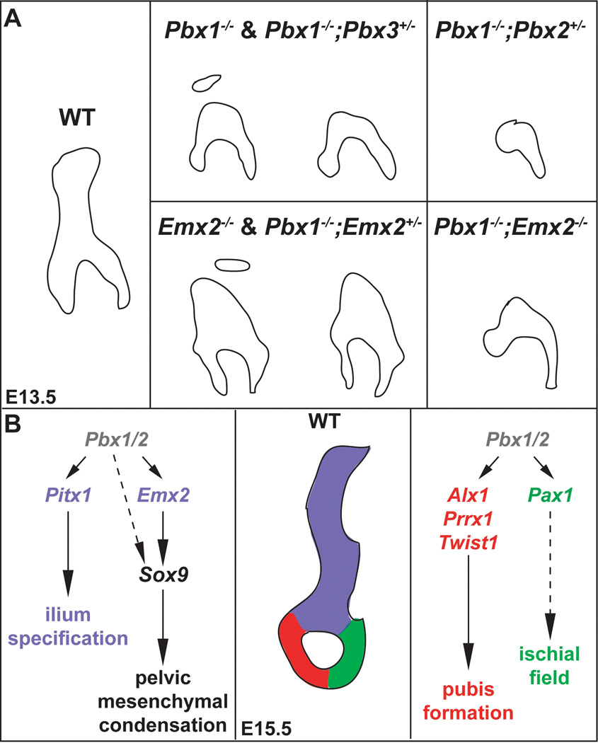 Fig. 9