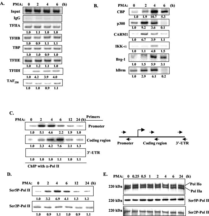 FIG. 6.