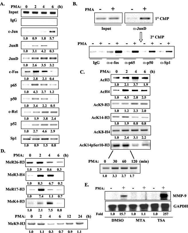 FIG. 5.