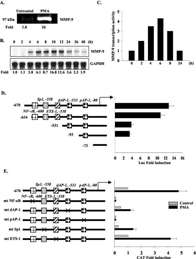 FIG. 1.