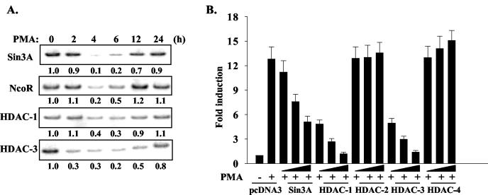 FIG. 7.