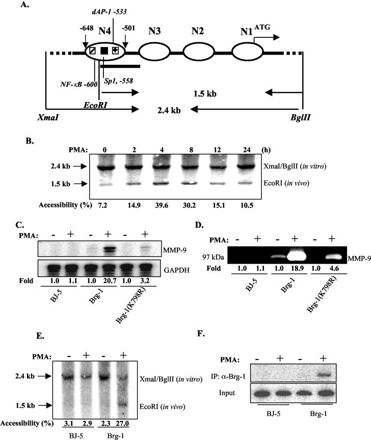 FIG. 3.