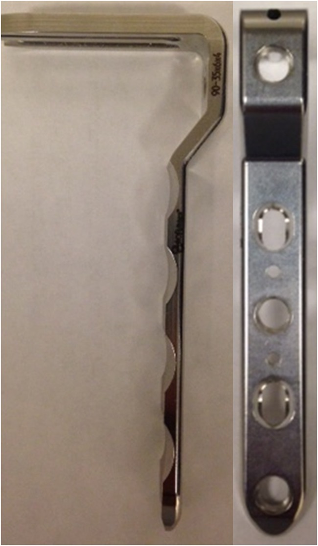Fig. 2