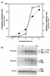 FIG. 1.