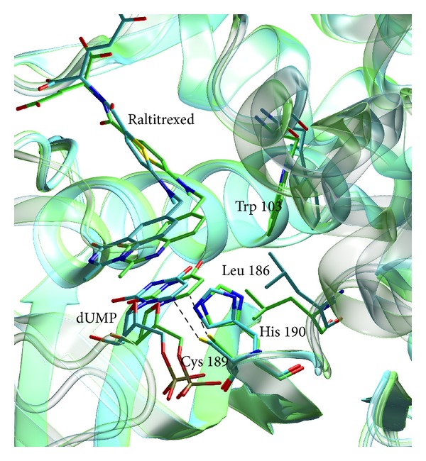 Figure 4