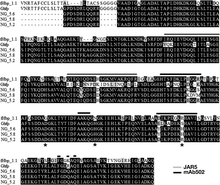 FIG 3