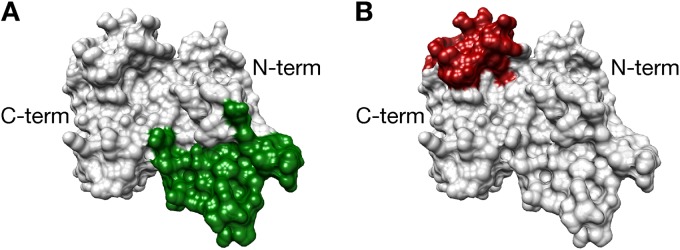 FIG 1