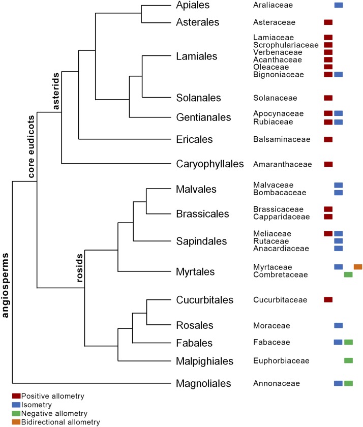 Figure 11.