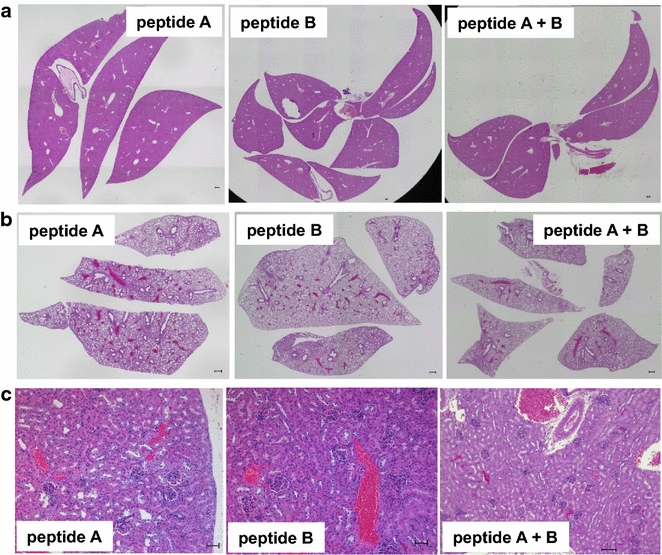 Fig. 4