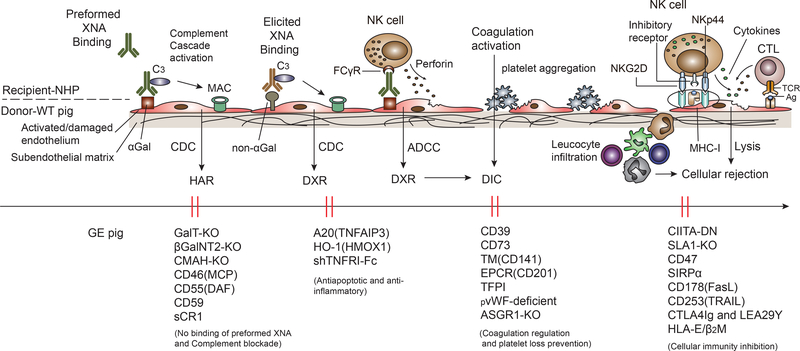 Figure 5: